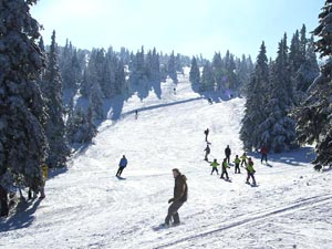 One of the many ski slopes at Ovčárna